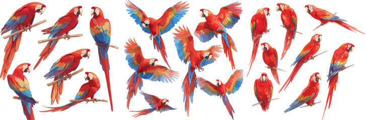 parrot watercolor clipart © dian's