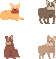Collection of four cute french bulldogs illustrations in different colors and poses