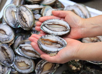 Close-up of female's hand holding two raw abalones at a fish market near Wando-gun, South Korea
