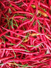long red chilies as vegetable advertising background