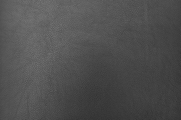 Leather Texture