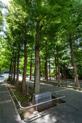 豊島区立東池袋中央公園（東京都豊島区東池袋３丁目１）