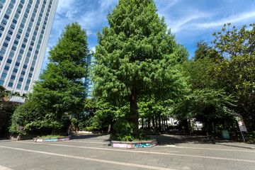 豊島区立東池袋中央公園（東京都豊島区東池袋３丁目１）