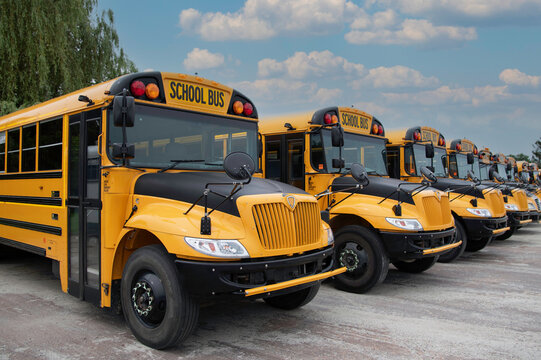 Yellow School Buses all parked in a line