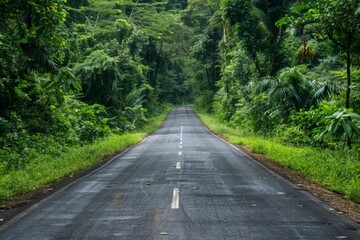 Fototapeta premium Rural Road Through Lush Tropical Forest