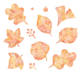 紅葉のイメージ