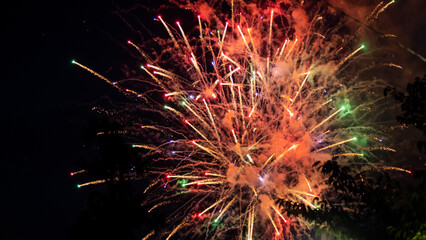 Sumidagawa Fireworks Festival 2024 in Tokyo