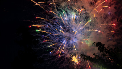 Sumidagawa Fireworks Festival 2024 in Tokyo