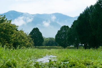 landscape with lake