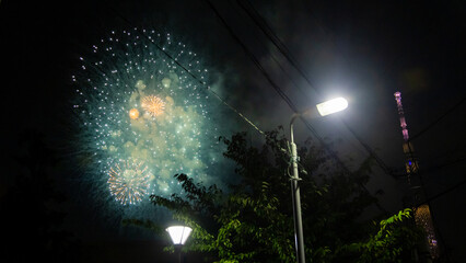 Sumidagawa Fireworks Festival 2024 in Tokyo