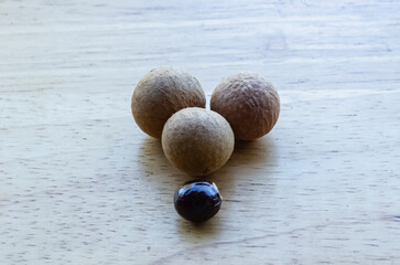 Longan Fruit and Seed