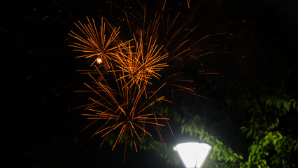 Sumidagawa Fireworks Festival 2024 in Tokyo