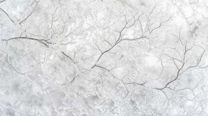 Fototapeta premium Snow-covered tree branches with intricate frost patterns, winter wonderland concept