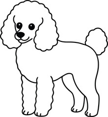 Poodle Dog  vector style,Clipart , Illustration with white background