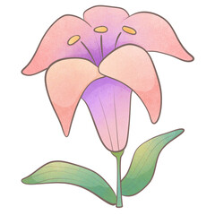 Night scented plants