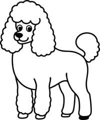 Poodle Dog  vector style,Clipart , Illustration with white background