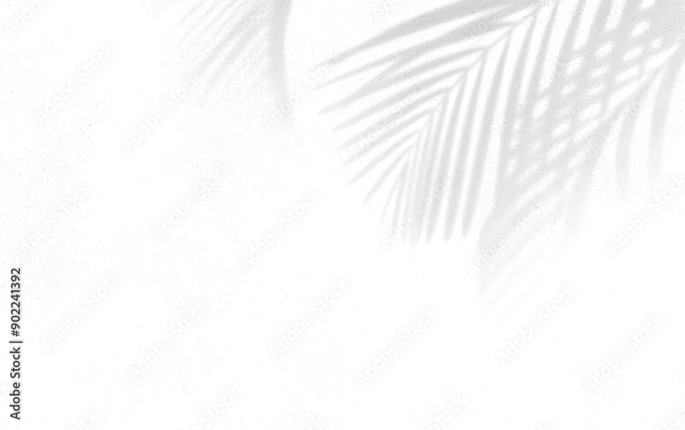 Canvas Prints abstract background of palm leaves or coconut leaves and perspective. natural pattern, gray shadow. 