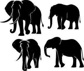 Fototapeta premium elephants silhouettes vector