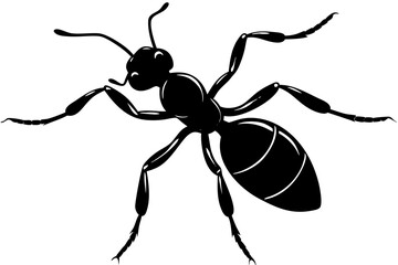 Ant vector silhouette, Vector of ant design, ant silhouette design
