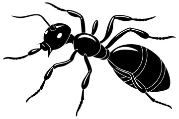 Ant vector silhouette, Vector of ant design, ant silhouette design