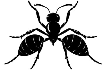 Ant vector silhouette, Vector of ant design, ant silhouette design