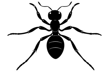 Ant vector silhouette, Vector of ant design, ant silhouette design