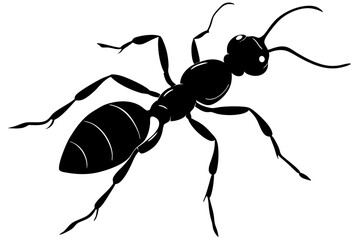 Ant vector silhouette, Vector of ant design, ant silhouette design
