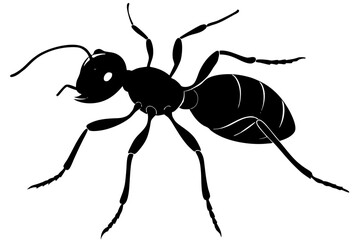 Ant silhouette, ant icon, Vector Illustration