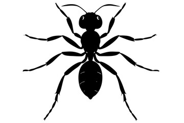 Ant vector silhouette, Vector of ant design, ant silhouette design