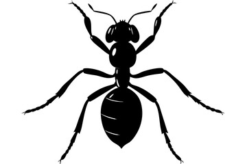 Ant silhouette, ant icon, Vector Illustration