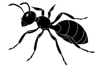 Ant silhouette, ant icon, Vector Illustration