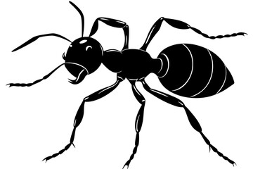 Ant silhouette, ant icon, Vector Illustration