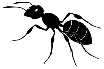 Ant silhouette, ant icon, Vector Illustration