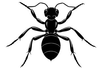 Ant silhouette, ant icon, Vector Illustration