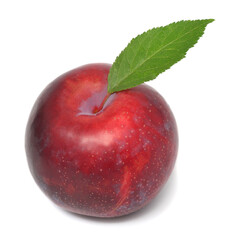 Fresh plum with leaf isolated on white background