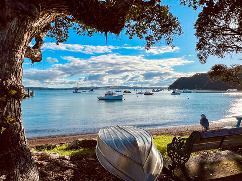 Russell, Bay of Islands, New Zealand: beach with boats, trees and seagull