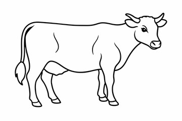 cow line art vector illustration	
