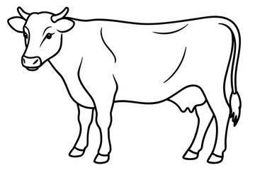 cow line art vector illustration	
