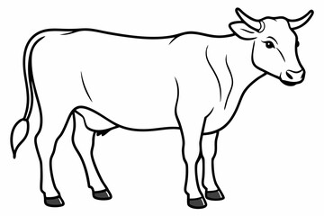 cow line art vector illustration	
