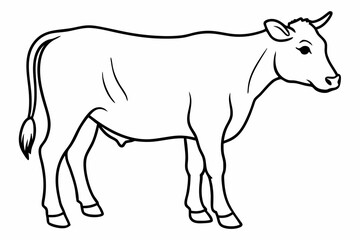 cow line art vector illustration	
