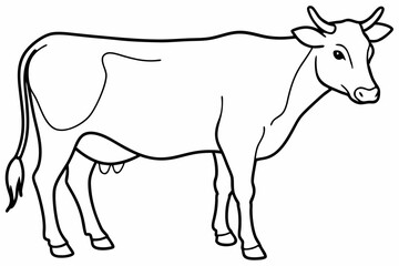 cow line art vector illustration	
