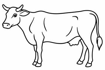cow line art vector illustration	
