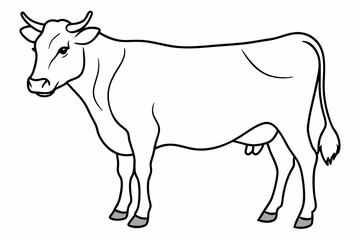 cow line art vector illustration	
