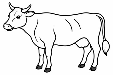 cow line art vector illustration	
