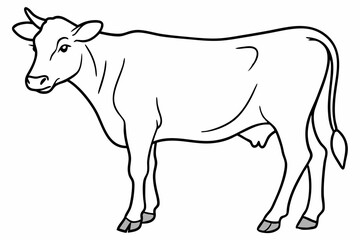 cow line art vector illustration	
