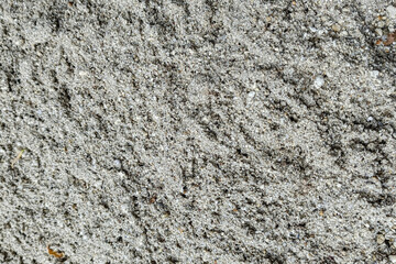 Gray texture of concrete plaster wall with roughness. Blank for the background in artworks.