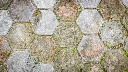 neatly arranged hexagonal conblocks for road coverings