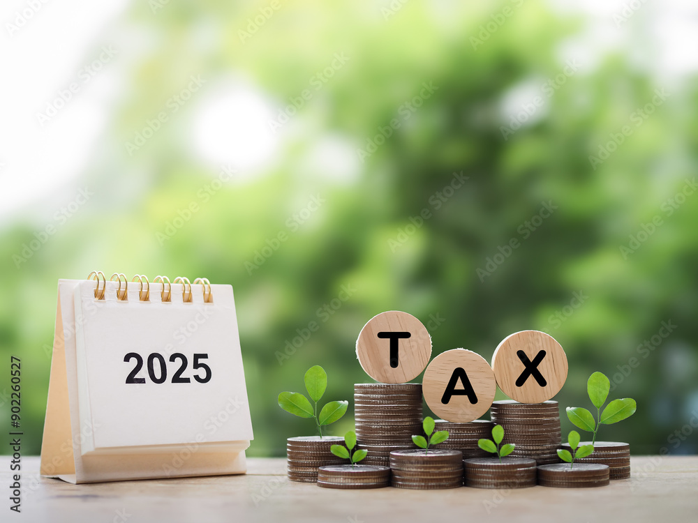 Wall mural 2025 desk calendar, Wooden blocks with the word TAX and plants growing up on stack of coins. The concept about saving money and manage time to paying tax in year 2025