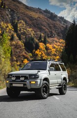 off road car © Nandini