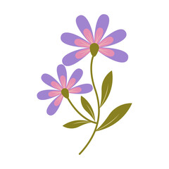 Flat Illustration of Spring Flower. Isolated on White Background. Vector Cartoon Illustration